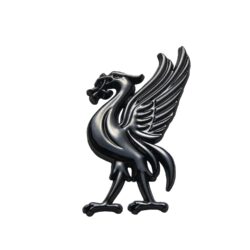 آرم خودرو طرح اژدها